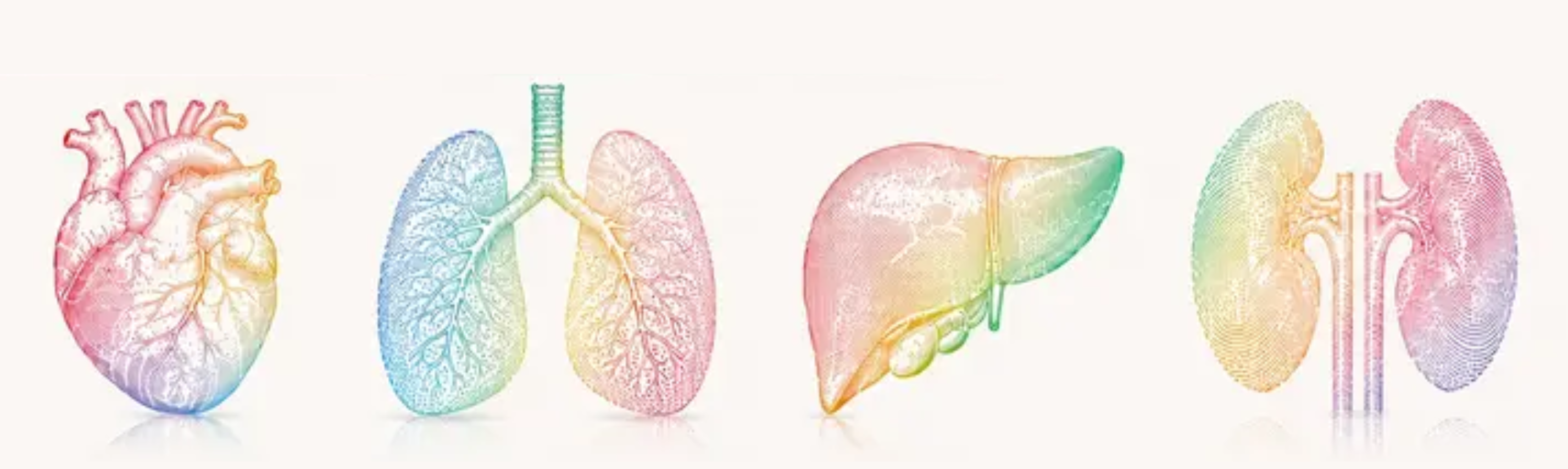 Sympadot 2026 : symposium annuel de transplantation de l'H.U.B