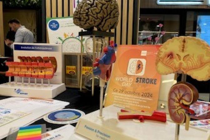 information supports - Journée AVC octobre 2024 - Hôpital Erasme