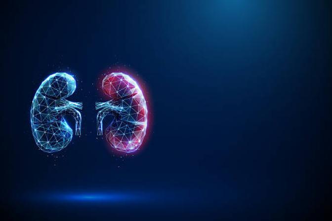 Cinquième Colloque Transversal de Néphrologie, Dialyse et Transplantation 2026 - Hôpital Universitaire de Bruxelles