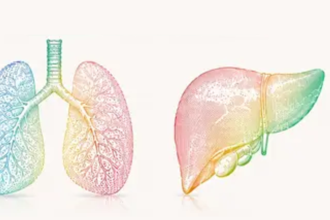 Sympadot 2026 : symposium annuel de transplantation de l'H.U.B