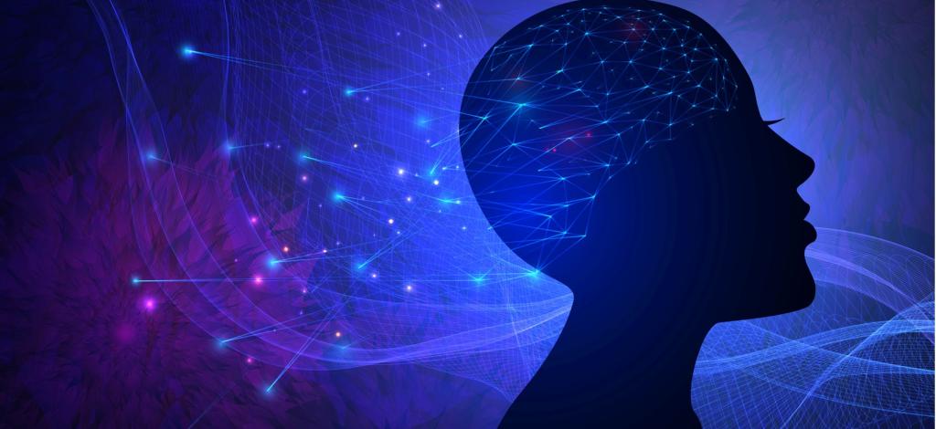 cerveau_epilepsie.jpg