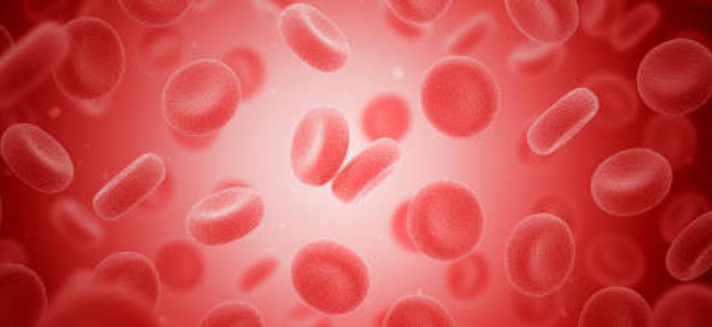 Blood cells