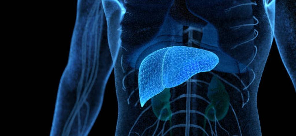 Visuel Foie en bleu dans thorax - Hépatite Associée à l'alcool - Hôpital Universitaire de Bruxelles