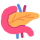 Clinique des maladies du pancréas et de la nutrition - icône - Hôpital Universitaire de Bruxelles