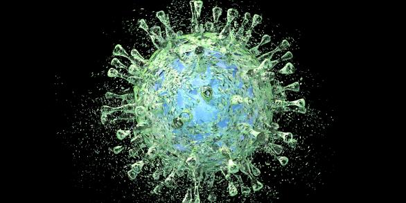 cytomégalovirus