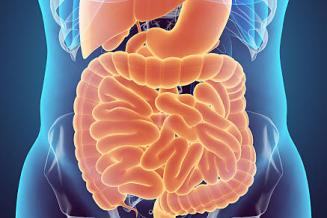 Clinique des Pathologies Fonctionnelles Digestives - Hôpital Erasme H.U.B