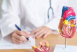 Consultation Cardiologie Illustration
