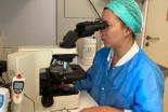 Clinique de la Fertilité - Comptage Ovocytes - Hôpital Universitaire de Bruxelles