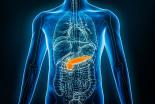 Clinique de Pancréatologie et Support Nutritionnel Hôpital Erasme H.U.B