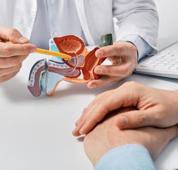 urologie Erasme