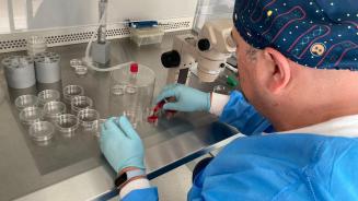 Sélection des ovocytes Clinique de la Fertilité Hôpital Universitaire de Bruxelles