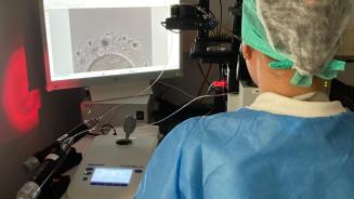 Fécondation in vitro Clinique de la Fertilité Hôpital Universitaire de Bruxelles
