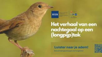Luister naar je adem - Bewustmalingcampagne over longkanker 2025 - Nachtegaal