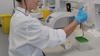 streptocoque Plotkin