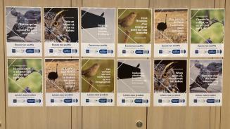 Giant Lungs - Prévention du cancer du poumon - H.U.B