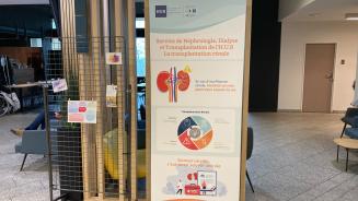 JM rein 2025 - Stand info - Hôpital Erasme H.U.B