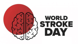 World Stroke Day