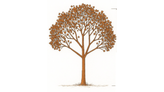 Deuil Périnatal : Inauguration de l'Arbre des Familles