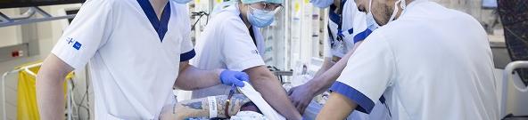 Endo cardiaque