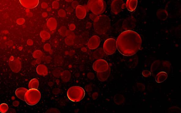 red blood cells illustration
