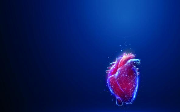 Journée de dépistage de l'insuffisance cardiaque Hôpital Erasme H.U.B