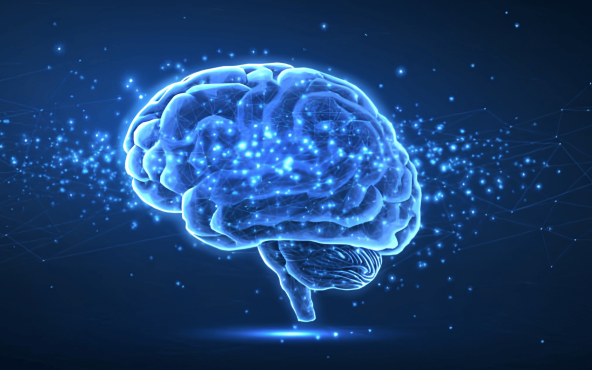 Nouveaux outils pour le diagnostic de la Maladie d'Alzheimer - Hôpital Erasme - Bruxelles - Clinique Intégrée de la Mémoire