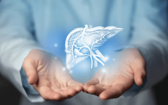 Etude CHANCE - Insuffisance hépatique sévère :  la transplantation offre une réelle chance de survie - Hôpital Erasme H.U.B
