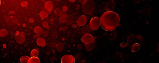 red blood cells illustration