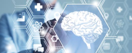 Epilepsie Epikids neuro center Hopital Enfants Erasme bruxelles
