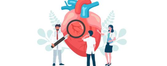 Cardiologie suivi cardiopathies congénitales H.U.B