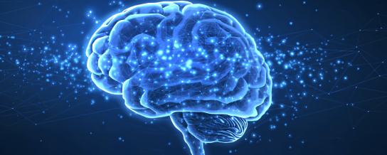 Nouveaux outils pour le diagnostic de la Maladie d'Alzheimer - Hôpital Erasme - Bruxelles - Clinique Intégrée de la Mémoire