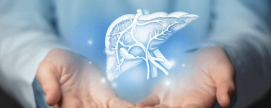 Etude CHANCE - Insuffisance hépatique sévère :  la transplantation offre une réelle chance de survie - Hôpital Erasme H.U.B